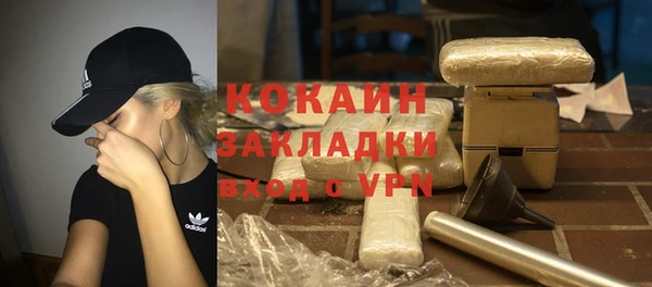 шишки Дедовск