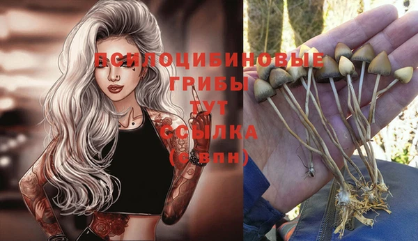 СК Осинники