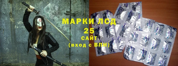 СК Осинники