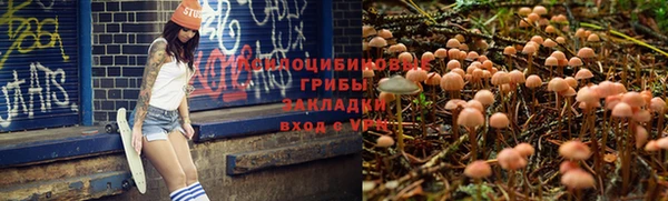 мет Осташков