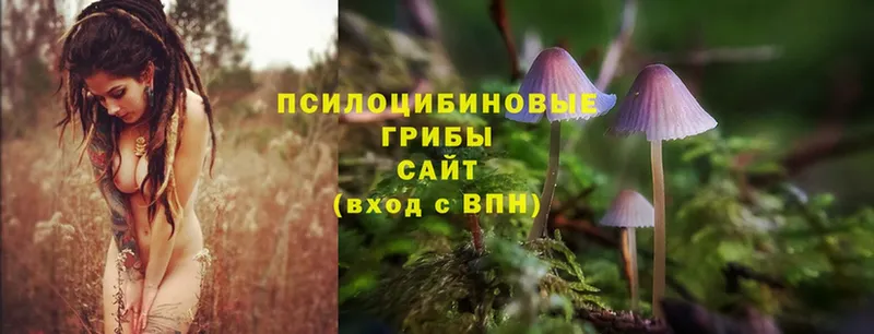 Псилоцибиновые грибы MAGIC MUSHROOMS  Комсомольск 